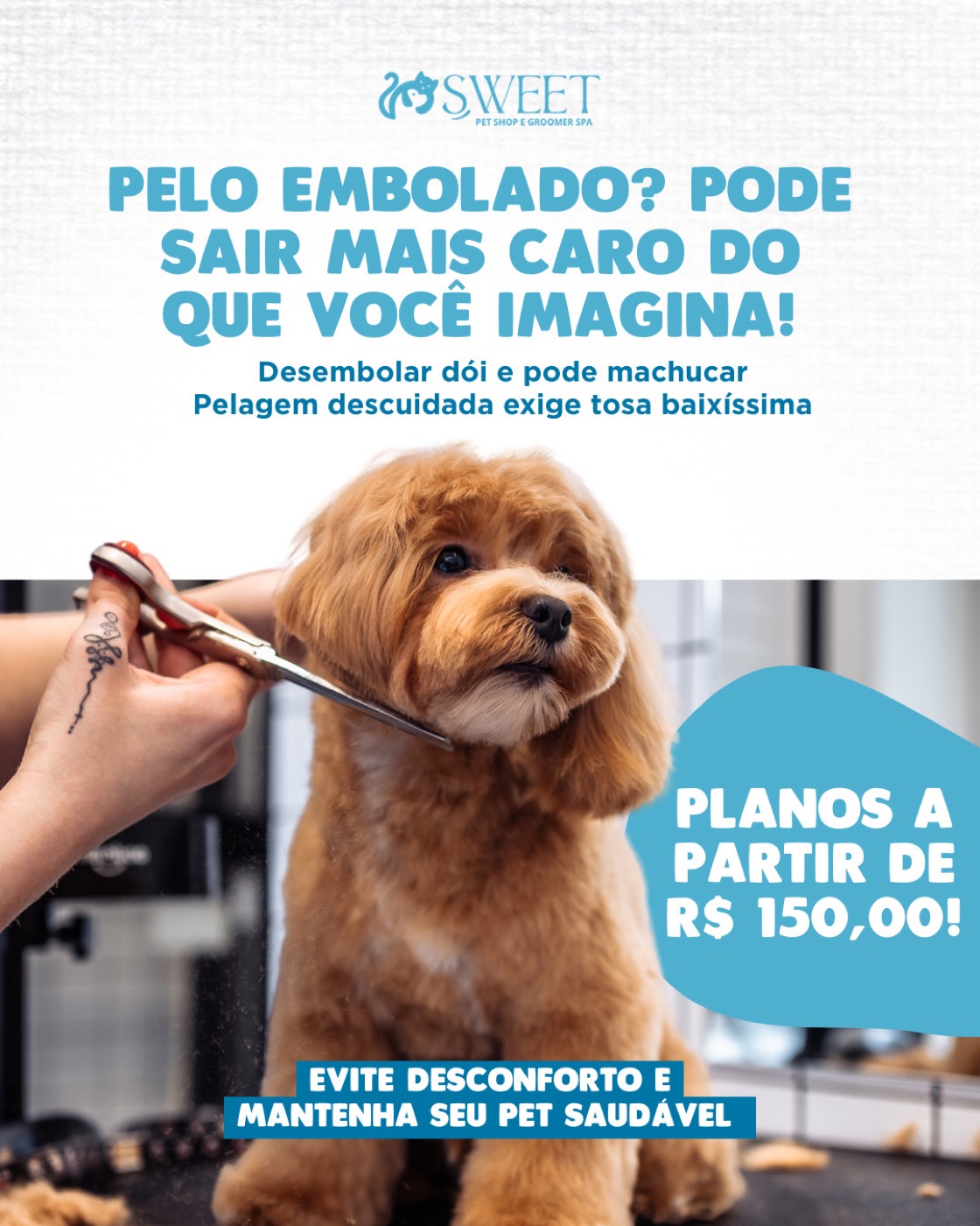 Tosa na tesoura em poodle